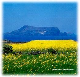 ન   4 ѹ 2 ׹   鹷ҹ  7,900  ҷ  Թҧ չҤ - Ҥ 2561